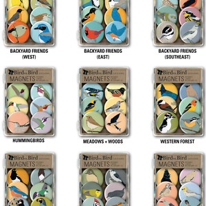 Bird Magnet Gift Set Choose from 17 themes nature audubon birder songbird stocking stuffer fridge magnet birdwatcher cute native birds image 2