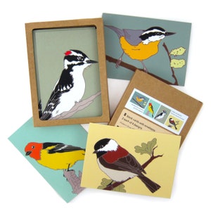 Box of Woodland Bird Note Cards | 2 Each of 4 Designs | Printed on Recycled Paper | blank bird greeting cute nature wildlife outdoors birder