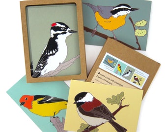 Box of Woodland Bird Note Cards | 2 Each of 4 Designs | Printed on Recycled Paper | blank bird greeting cute nature wildlife outdoors birder