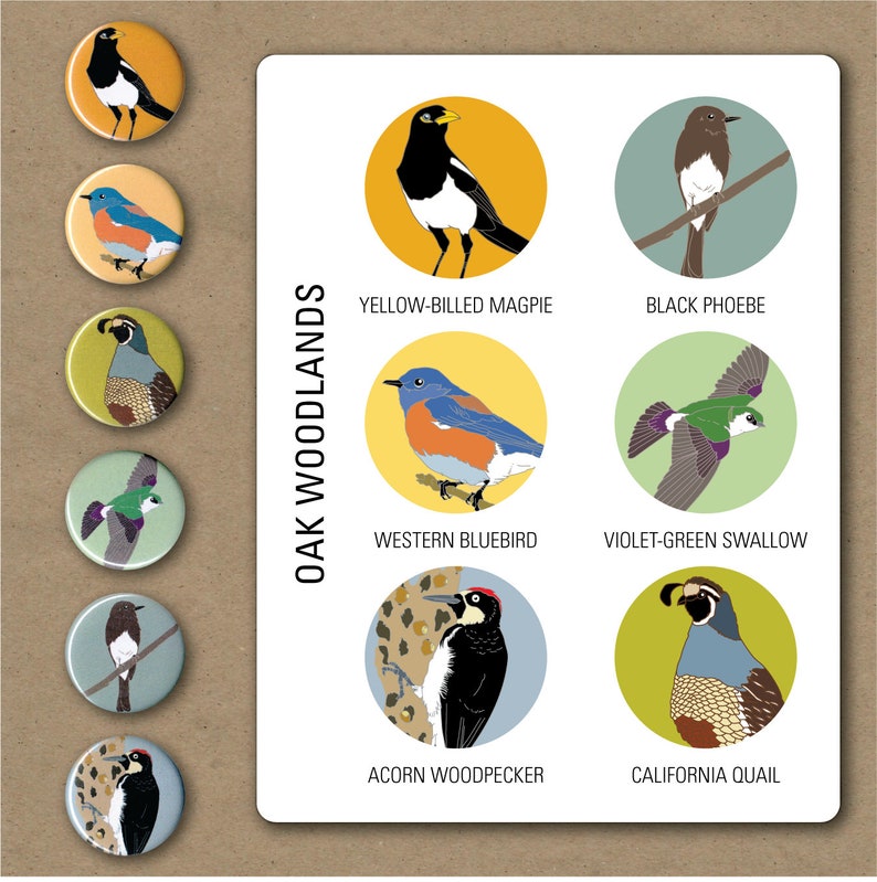 Oak Woodlands Bird Pins Pack of 6 nature cute audubon birder wildlife stocking stuffer button badge birdwatcher birding california image 2