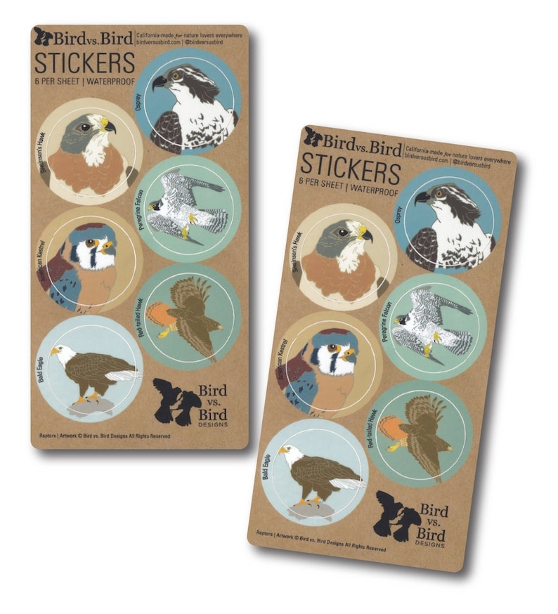 Raptor Sticker Sheets 6 Different Birds Round Waterproof Stickers hawk bird of prey wildlife birder outdoors audubon nature decal image 1