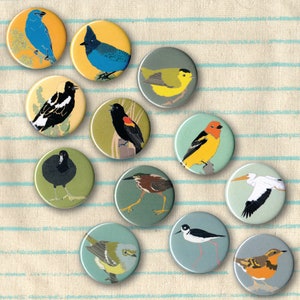 Mix and Match 12 Bird Pins: 100+ Designs! | US native wild songbirds, raptors, waterbirds and more | pinback button favor birder audubon