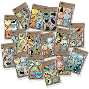 Oak Woodlands Bird Pins Pack of 6 nature cute audubon birder wildlife stocking stuffer button badge birdwatcher birding california image 6