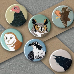 Mix and Match 6 Bird Magnets: 100 Designs US native wild songbirds raptors waterbirds owls gift set stocking stuffer birder birb image 8