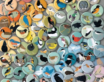 Mix and Match 24 Bird Magnets: 100+ Designs! | US native wild songbirds, raptors, waterbirds, owls | party favor bulk pack cute nature