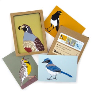 Box of Grasslands Birds Note Cards | 2 Each of 4 Designs | Printed on Recycled Paper | blank bird greeting quail california outdoors nature