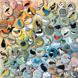 Mix and Match 6 Bird Pins: 100+ Designs! | US native wild songbirds raptors waterbirds owls realistic | birder stocking stuffer audubon cute
