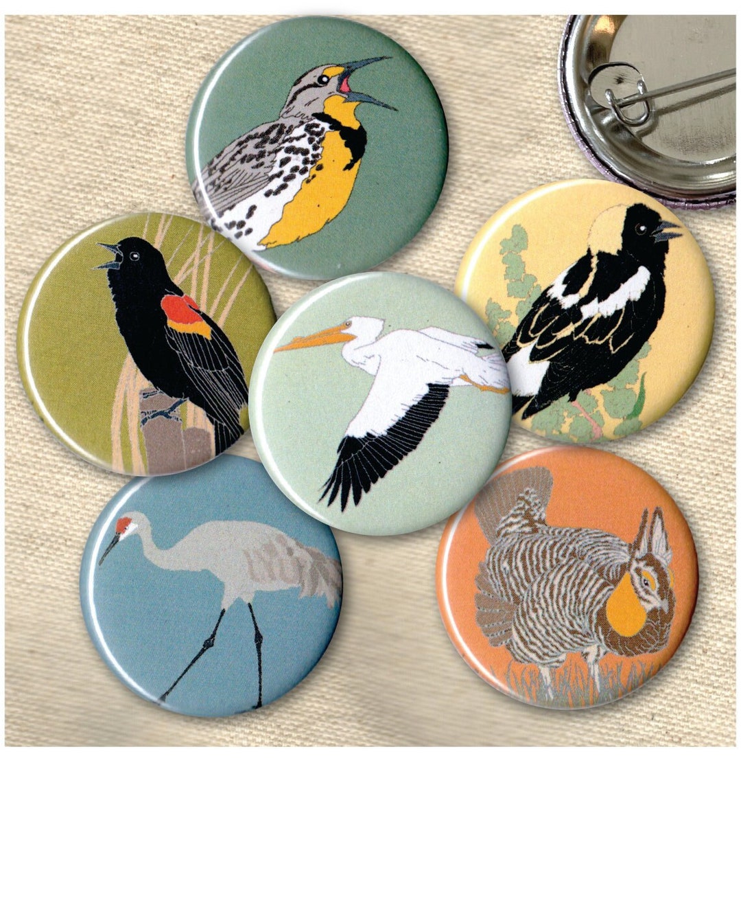 Great Plains Bird Pins | Pack of 6 | Nature Songbird Audubon Birder ...