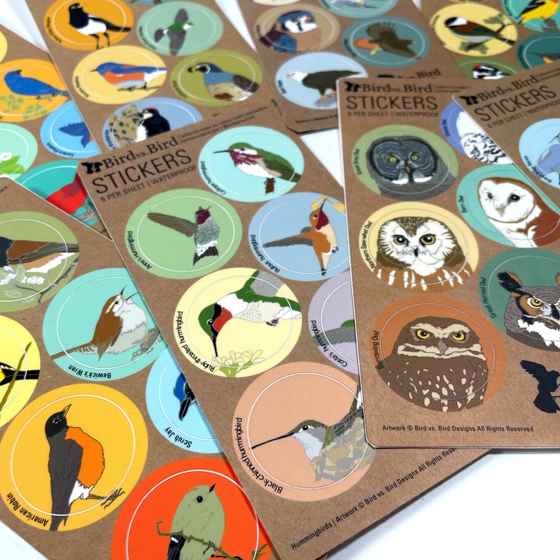 Bird Sticker Assortment 48 Different Designs waterproof round decal birder favor audubon cute nature wildlife colorful bulk pack image 1