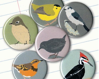 Pacific NW Bird Magnets | Gift Set of 6 | birding nature cute birder songbird wildlife stocking stuffer native birds birdwatcher forest