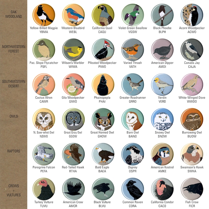 Mix and Match 6 Bird Pins: 100 Designs US native wild songbirds raptors waterbirds owls birder gift set stocking stuffer audubon cute image 4