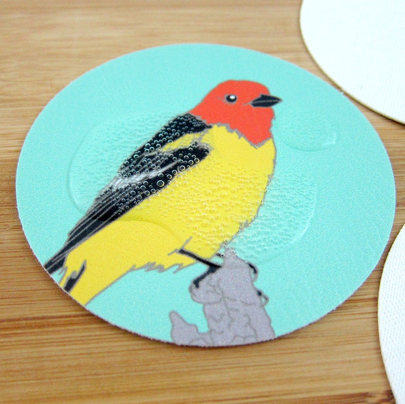 Set of 6 Vegan Leather Wild Bird Coasters Choose from 11 Different Sets nature wildlife hostess gift outdoors birder birding cute image 4