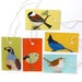 10 Wild Bird Gift Tags 2 Each of 6 Designs Printed on Recycled Paper