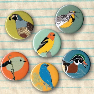 Mix and Match 6 Bird Pins: 100 Designs US native wild songbirds raptors waterbirds owls birder gift set stocking stuffer audubon cute image 8