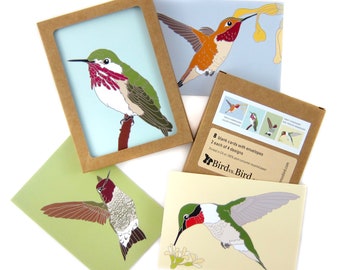 Box of Hummingbird Note Cards | 2 Each of 4 Designs | Printed on Recycled Paper | blank cute bird greeting outdoors nature