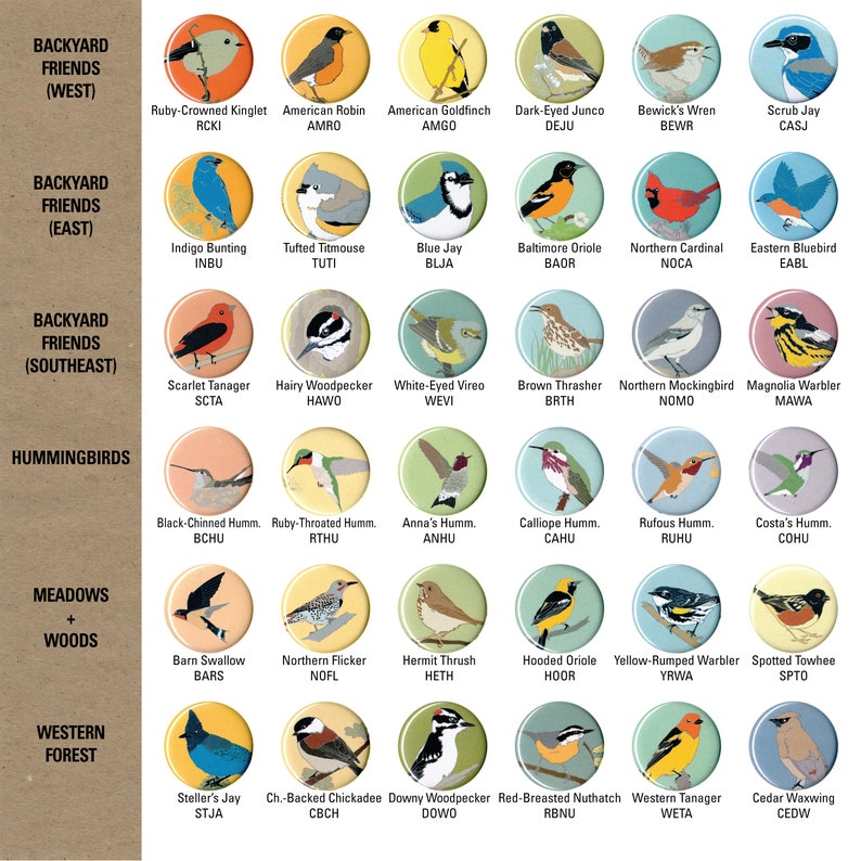 Bird Magnet Gift Set Choose from 17 themes nature audubon birder songbird stocking stuffer fridge magnet birdwatcher cute native birds image 4