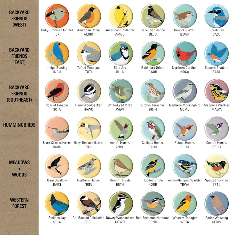 May include: A chart with illustrations of different bird species, organized by location and type. The chart includes birds commonly found in backyards, meadows, and forests. Each bird is labeled with its common name and scientific abbreviation.