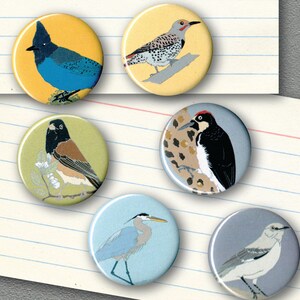 Mix and Match 6 Bird Magnets: 100 Designs US native wild songbirds raptors waterbirds owls gift set stocking stuffer birder birb image 9