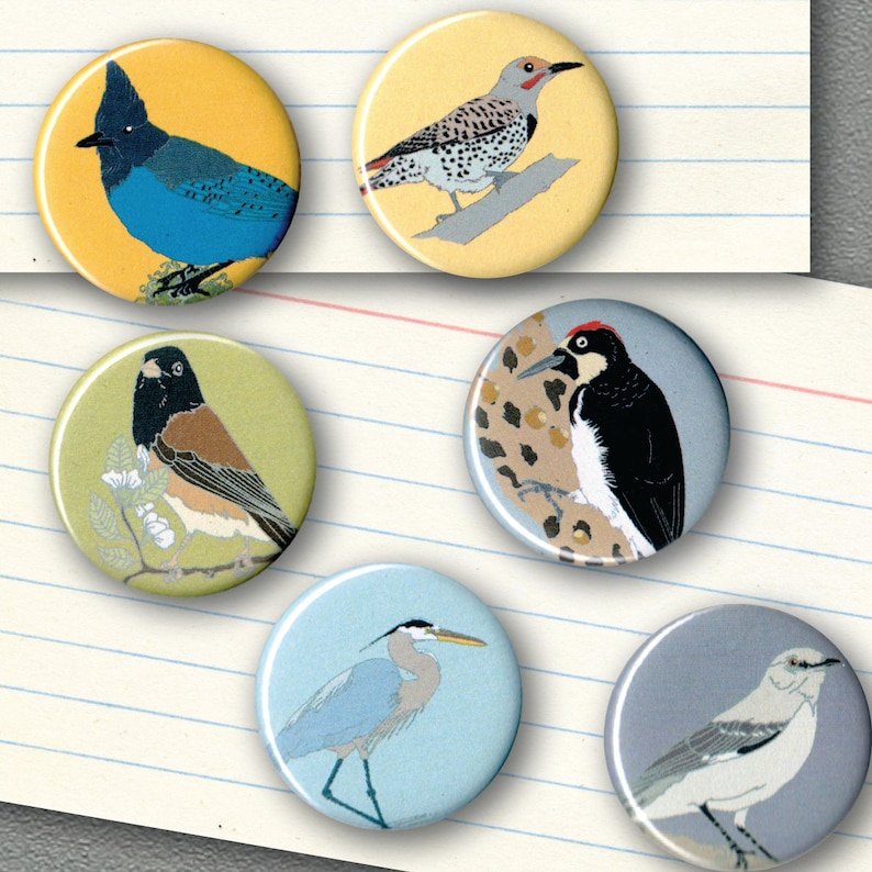 Mix and Match 6 Bird Magnets: 100 Designs US native wild songbirds raptors waterbirds owls gift set stocking stuffer birder birb image 9