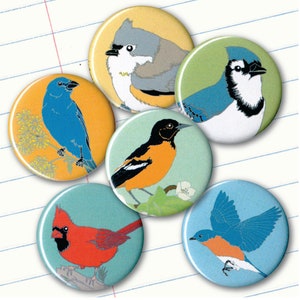 Eastern US Backyard Bird Magnets | Gift Set of 6 | birding nature cute birder songbird wildlife stocking stuffer fridge magnet birdwatcher