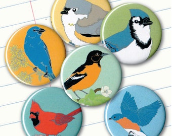 Eastern US Backyard Bird Magnets | Gift Set of 6 | birding nature cute birder songbird wildlife stocking stuffer fridge magnet birdwatcher