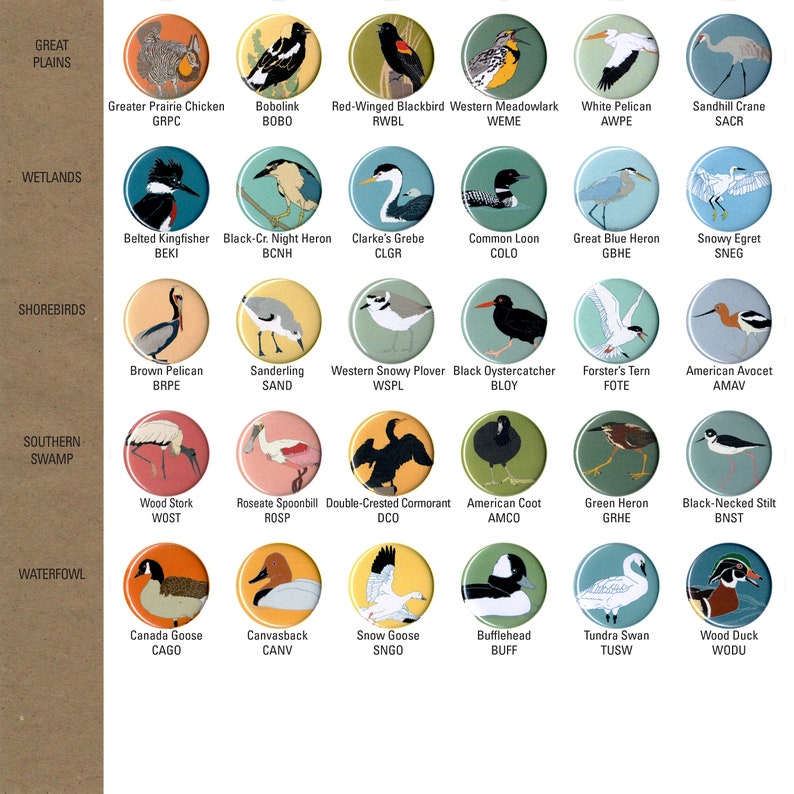 Mix and Match 6 Bird Pins: 100 Designs US native wild songbirds raptors waterbirds owls birder gift set stocking stuffer audubon cute image 5