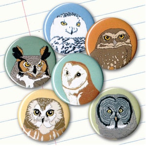 Owl Magnets | Gift Set of 6 | nature outdoors bird of prey raptor birder wildlife stocking stuffer fridge magnet birdwatcher conservation