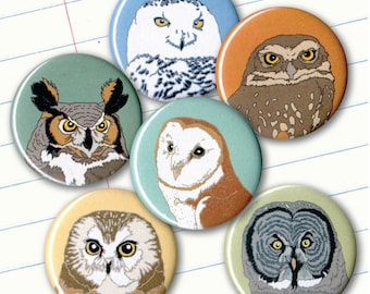 Owl Magnets | Gift Set of 6 | nature outdoors bird of prey raptor birder wildlife stocking stuffer fridge magnet birdwatcher conservation