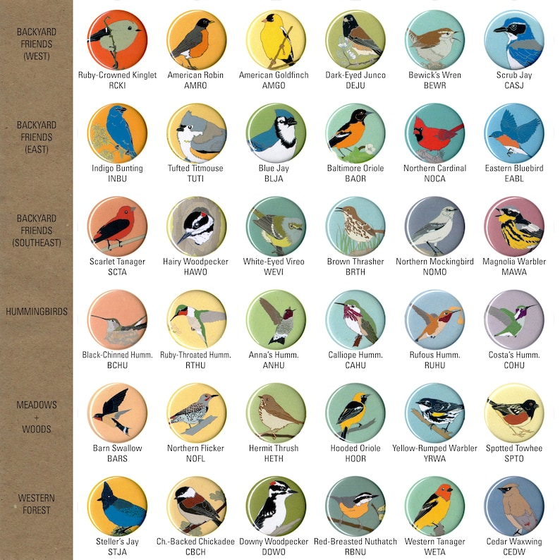 Mix and Match 6 Bird Magnets: 100 Designs US native wild songbirds raptors waterbirds owls gift set stocking stuffer birder birb image 3