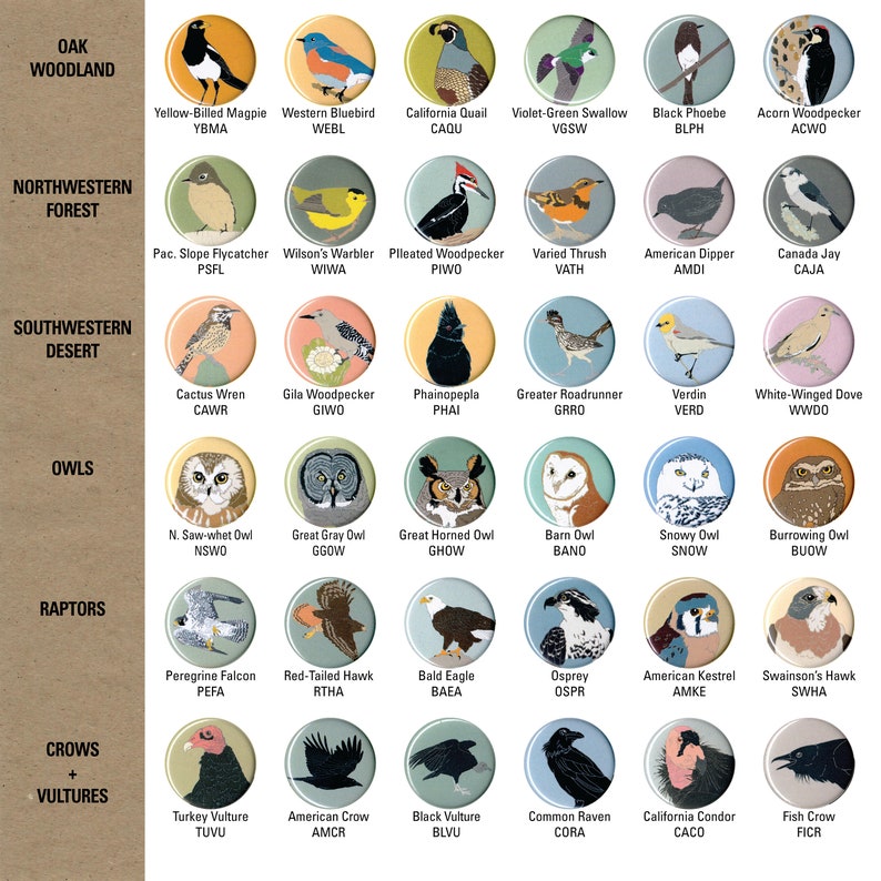 May include: A colorful chart featuring illustrations of various bird species, organized by habitat and type. Each bird is depicted in a circular frame with its common name and scientific abbreviation below. The chart includes birds like the California Quail, the Great Horned Owl, and the American Crow.