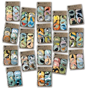 Songbird Magnets Southeastern US Gift Set of 6 birding nature cute birder native wildlife stocking stuffer fridge magnet birdwatcher image 7