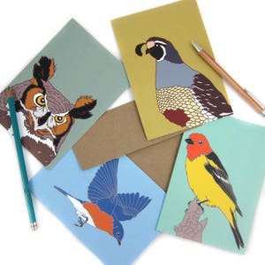 Bird Note Cards Mix + Match 8 | Choose from 36 Designs | Printed on Recycled Paper | blank card wildlife birder nature outdoors audubon