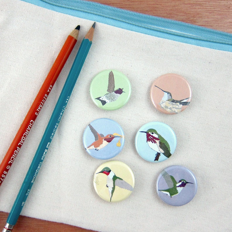 Hummingbird Pins Pack of 6 Nature Songbird Audubon Birder Etsy