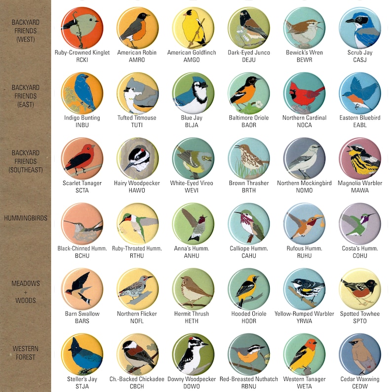 Mix and Match 6 Bird Pins: 100 Designs US native wild songbirds raptors waterbirds owls birder gift set stocking stuffer audubon cute image 3