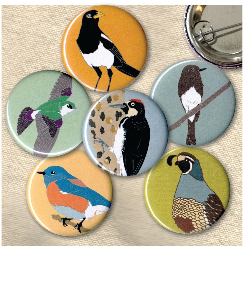 six round pinback buttons with colorful background and illustrations of california native birds