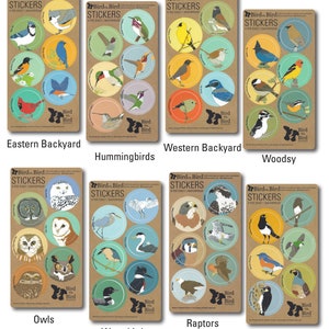 Bird Sticker Assortment 48 Different Designs waterproof round decal birder favor audubon cute nature wildlife colorful bulk pack image 2