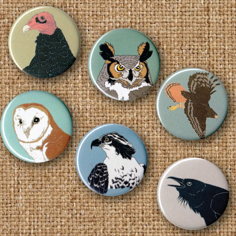 Mix and Match 6 Bird Pins: 100 Designs US native wild songbirds raptors waterbirds owls birder gift set stocking stuffer audubon cute image 2