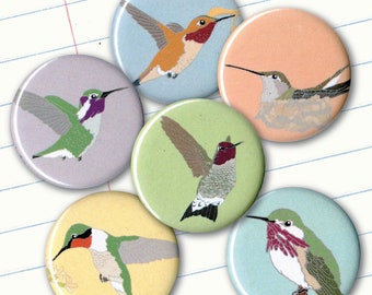 Hummingbird Magnets | Gift Set of 6 | nature outdoors bird of cute birder wildlife stocking stuffer fridge magnet birdwatcher audubon