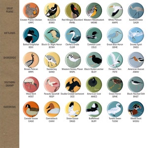 Mix and Match 24 Bird Magnets: 100 Designs US native wild songbirds, raptors, waterbirds, owls party favor bulk pack cute nature image 6