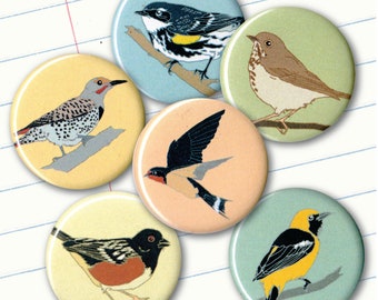 Wild Meadow Birds Magnets | Boxed Set of 6 | nature california outdoors birder wildlife stocking stuffer fridge magnet birdwatcher songbird