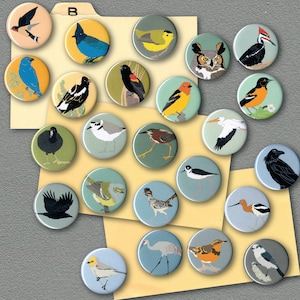 Mix and Match 24 Bird Magnets: 100 Designs US native wild songbirds, raptors, waterbirds, owls party favor bulk pack cute nature image 3