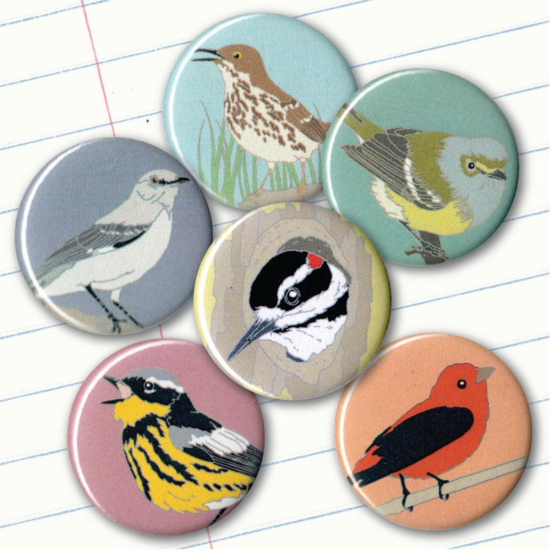 six round magnets with colorful backgrounds and illustrations of birds are shown against a piece of binder paper