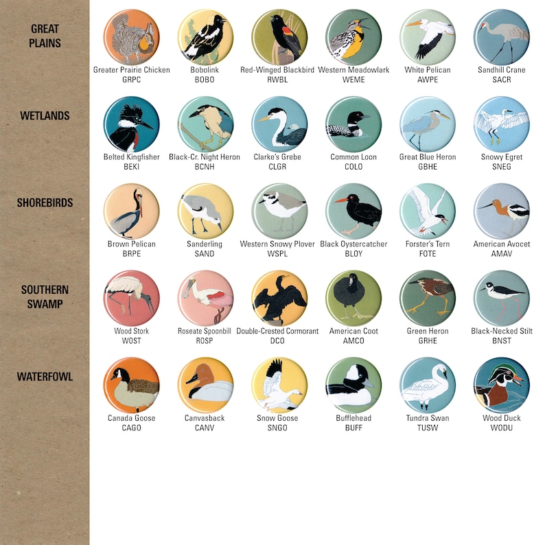 May include: A chart with illustrations of different bird species, organized by habitat. The chart includes birds from the Great Plains, Wetlands, Shorebirds, Southern Swamp, and Waterfowl categories. Each bird is labeled with its common name and a three-letter abbreviation.