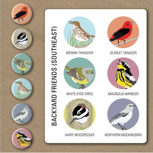 Songbird Magnets Southeastern US Gift Set of 6 birding nature cute birder native wildlife stocking stuffer fridge magnet birdwatcher image 3