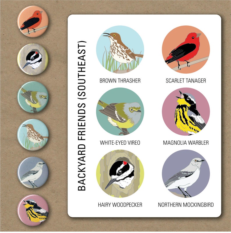 Songbird Magnets Southeastern US Gift Set of 6 birding nature cute birder native wildlife stocking stuffer fridge magnet birdwatcher image 3