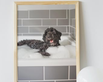 May include: A framed photograph of a black dog in a bathtub full of bubbles. The dog is smiling and looking at the camera. The bathroom is tiled in gray.