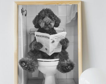 Peut inclure: Une photo en noir et blanc d'un chien assis sur des toilettes et lisant un journal. Le titre du journal est "Local News".