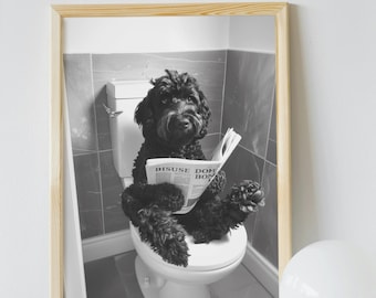 Op de afbeelding: Een zwart-witfoto van een hond die op een toilet zit en een krant leest. De krantenkoppen luiden "DISUSE DOF BON".