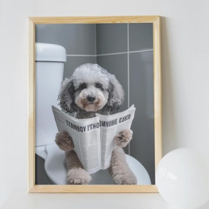 Op de afbeelding: Een ingelijste prent met een grijze en witte poedel die op een toilet zit en een krant leest. De krant heeft tekst. De achtergrond omvat een grijze betegelde muur en een wit toilet. Rechts is een witte bol.