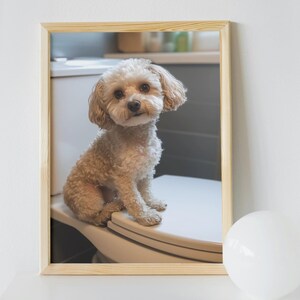 May include: A framed photograph of a small, light brown dog sitting on a white toilet seat. The dog is looking directly at the camera.